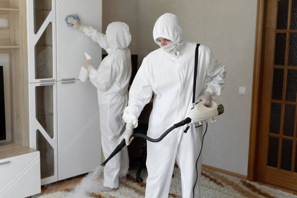 Mold Testing and Removal in Bear Creek Ranch, TX