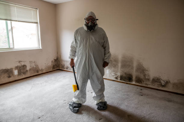 Certified Mold Removal in Bear Creek Ranch, TX